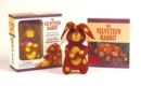 Image for The Velveteen Rabbit Mini Kit : Plush Toy and Illustrated Book