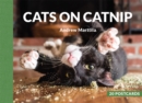 Image for Cats on Catnip: 20 Postcards