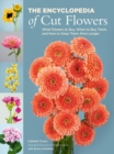 Image for The encyclopedia of cut flowers  : what flowers to buy, when to buy them, and how to keep them alive for longer