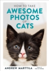 Image for How to Take Awesome Photos of Cats