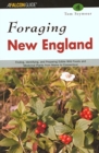 Image for Foraging New England : Finding, Identifying, and Preparing Edible Wild Foods and Medicinal Plants from Maine to Connecticut