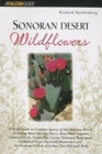 Image for Sonoran Desert Wildflowers