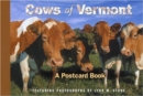 Image for The Cows of Vermont