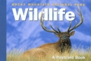 Image for Rocky Mountain National Park Wildlife