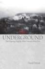 Image for Fire underground: the ongoing tragedy of the Centralia mine fire