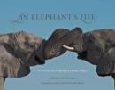 Image for An elephant&#39;s life: an intimate portrait from Africa