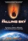 Image for The falling sky: the science and history of meteorites and why we should learn to love them