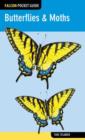 Image for Butterflies &amp; Moths