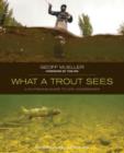 Image for What a Trout Sees : A Fly-Fishing Guide To Life Underwater