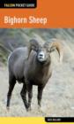Image for Bighorn Sheep