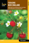 Image for Foraging New England: edible wild food and medicinal plants from Maine to the Adirondacks to Long Island Sound