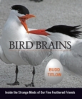 Image for Bird brains: inside the strange minds of our fine feathered friends