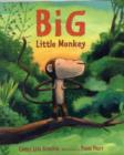 Image for Big Little Monkey