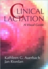 Image for Clinical lactation  : a visual guide