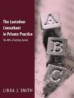 Image for The Lactation Consultant in Private Practice: The ABCs of Getting Started : The ABCs of Getting Started