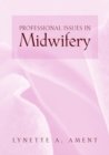Image for Professional issues in midwifery