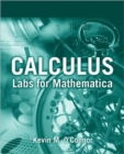 Image for Calculus  : labs for mathematica