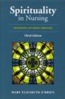 Image for Spirituality in Nursing : Standing on Holy Ground