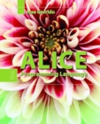 Image for Alice: The Programming Language