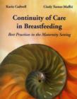 Image for Continuity of care in breastfeeding  : best practices in the maternity setting