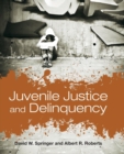 Image for Juvenile Justice And Delinquency