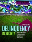 Image for Delinquency In Society: The Essentials