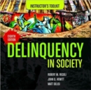 Image for Delinquency in Society