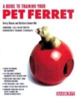 Image for Guide to Training Your Pet Ferret