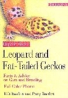 Image for Leopard and fat tailed geckos