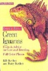 Image for Green iguanas