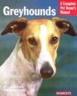 Image for Greyhounds  : everything about purchase, care, nutrition, behavior, and training