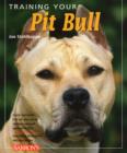 Image for Training Your Pit Bull