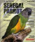 Image for Guide to the Senegal Parrot and it&#39;s Family