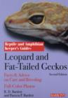Image for Leopard and fat tailed geckos.