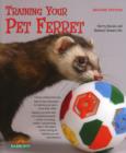 Image for Training Your Pet Ferret