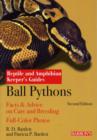 Image for Ball Python Keepers Guide