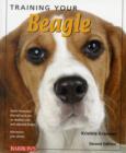 Image for Training Your Beagle