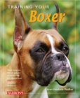 Image for Training Your Boxer