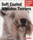 Image for Soft coated wheaten terriers