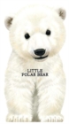 Image for Little polar bear