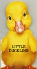 Image for Little duckling
