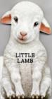 Image for Little lamb