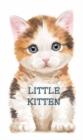 Image for Little kitten
