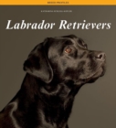 Image for Labrador Retrievers