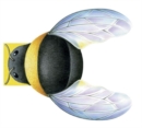 Image for Little bee