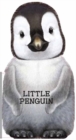 Image for Little Penguin