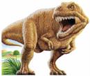 Image for T-rex