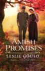 Image for Amish Promises