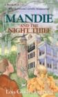 Image for Mandie and the Night Thief