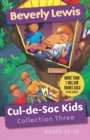 Image for Cul–de–Sac Kids Collection Three – Books 13–18